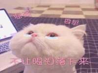 苏州隆格维服饰有限公司