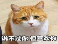 苏州隆格维服饰有限公司