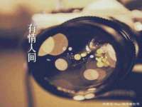 苏州隆格维服饰有限公司