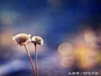 苏州隆格维服饰有限公司