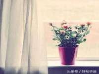 苏州隆格维服饰有限公司