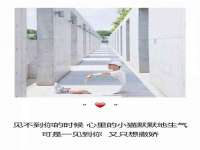 苏州隆格维服饰有限公司