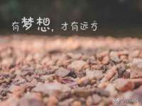 苏州隆格维服饰有限公司