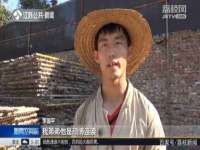 苏州隆格维服饰有限公司