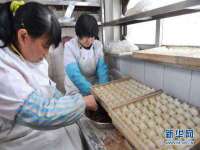 苏州隆格维服饰有限公司