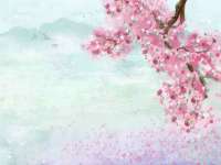 苏州隆格维服饰有限公司