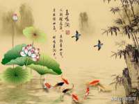 苏州隆格维服饰有限公司