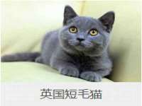 苏州隆格维服饰有限公司