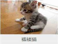 苏州隆格维服饰有限公司