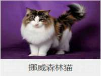 苏州隆格维服饰有限公司