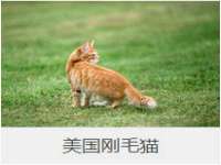 苏州隆格维服饰有限公司