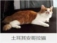 苏州隆格维服饰有限公司