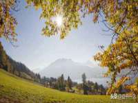 苏州隆格维服饰有限公司