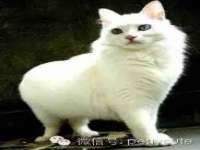 苏州隆格维服饰有限公司
