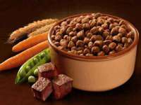 苏州隆格维服饰有限公司