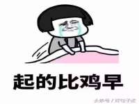 苏州隆格维服饰有限公司