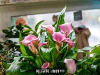 苏州隆格维服饰有限公司