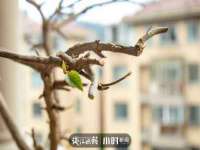 苏州隆格维服饰有限公司