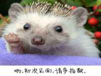 苏州隆格维服饰有限公司