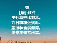 苏州隆格维服饰有限公司