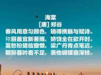 苏州隆格维服饰有限公司