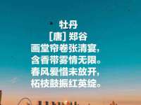 苏州隆格维服饰有限公司