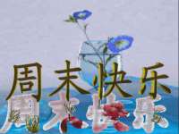 苏州隆格维服饰有限公司