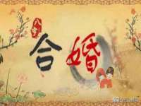 苏州隆格维服饰有限公司
