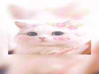 苏州隆格维服饰有限公司