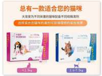 苏州隆格维服饰有限公司