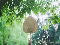 苏州隆格维服饰有限公司