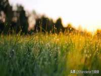 苏州隆格维服饰有限公司
