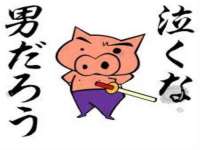苏州隆格维服饰有限公司