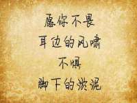苏州隆格维服饰有限公司