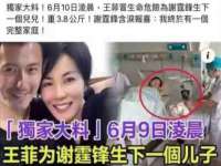 苏州隆格维服饰有限公司
