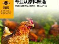 苏州隆格维服饰有限公司