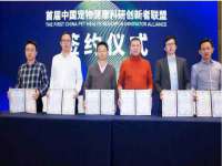 苏州隆格维服饰有限公司