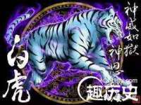 苏州隆格维服饰有限公司