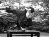 苏州隆格维服饰有限公司