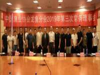 苏州隆格维服饰有限公司