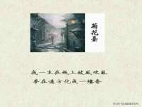 苏州隆格维服饰有限公司