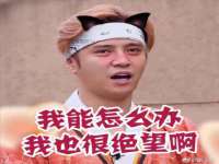 苏州隆格维服饰有限公司
