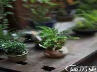 苏州隆格维服饰有限公司
