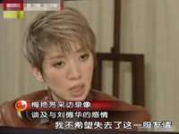 苏州隆格维服饰有限公司