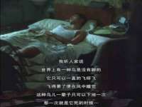 苏州隆格维服饰有限公司
