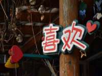 苏州隆格维服饰有限公司