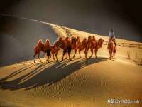 苏州隆格维服饰有限公司