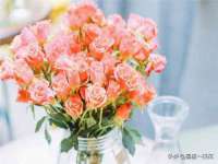 苏州隆格维服饰有限公司