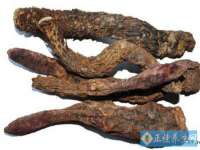 苏州隆格维服饰有限公司