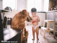 苏州隆格维服饰有限公司